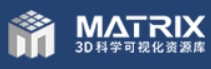 Matrix