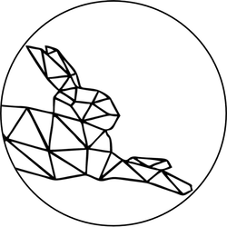 研究兔