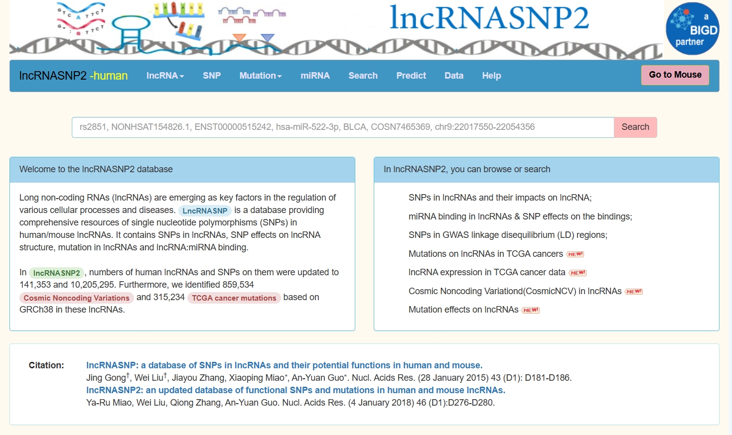 lncRNASNP2