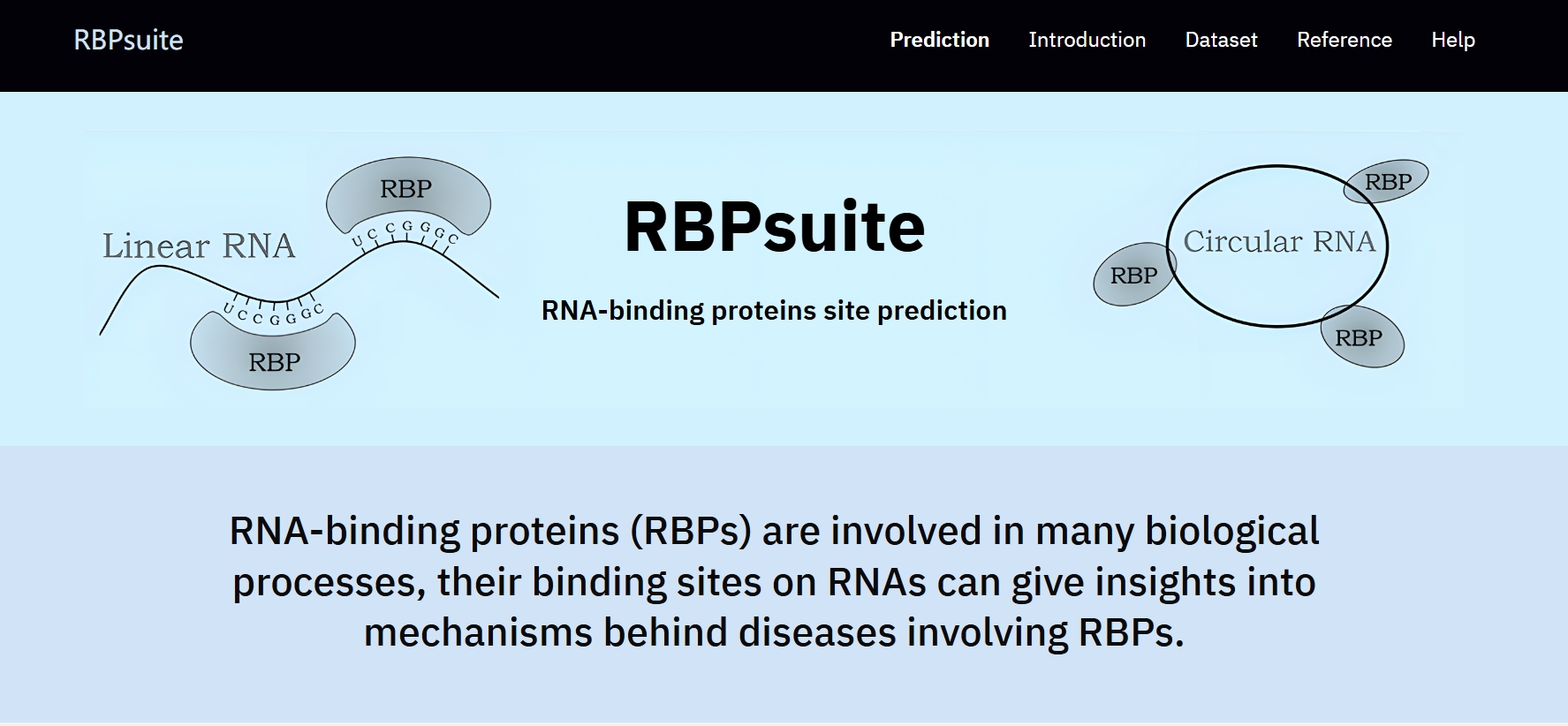 RBPsuite