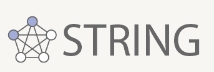 STRING