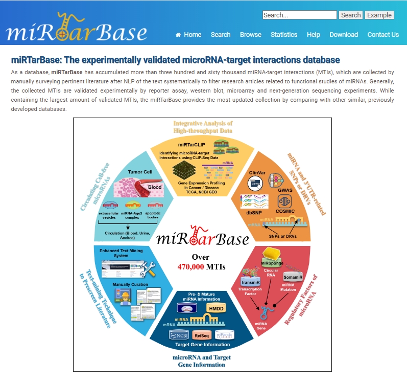 miRTarBase,miRNA靶标数据库