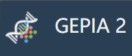 GEPIA2