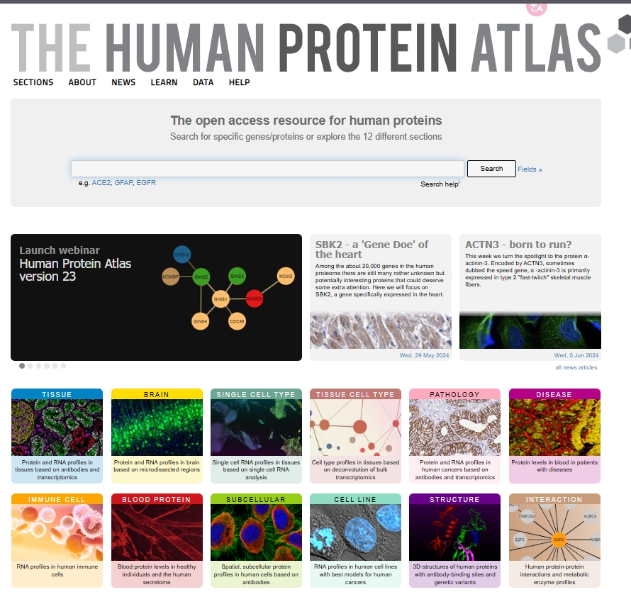 The Human Protein Atlas,一个全面的蛋白表达分析数据库
