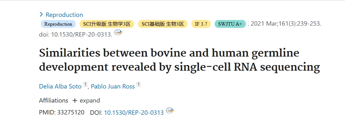 单细胞揭示牛与人生殖细胞相似性