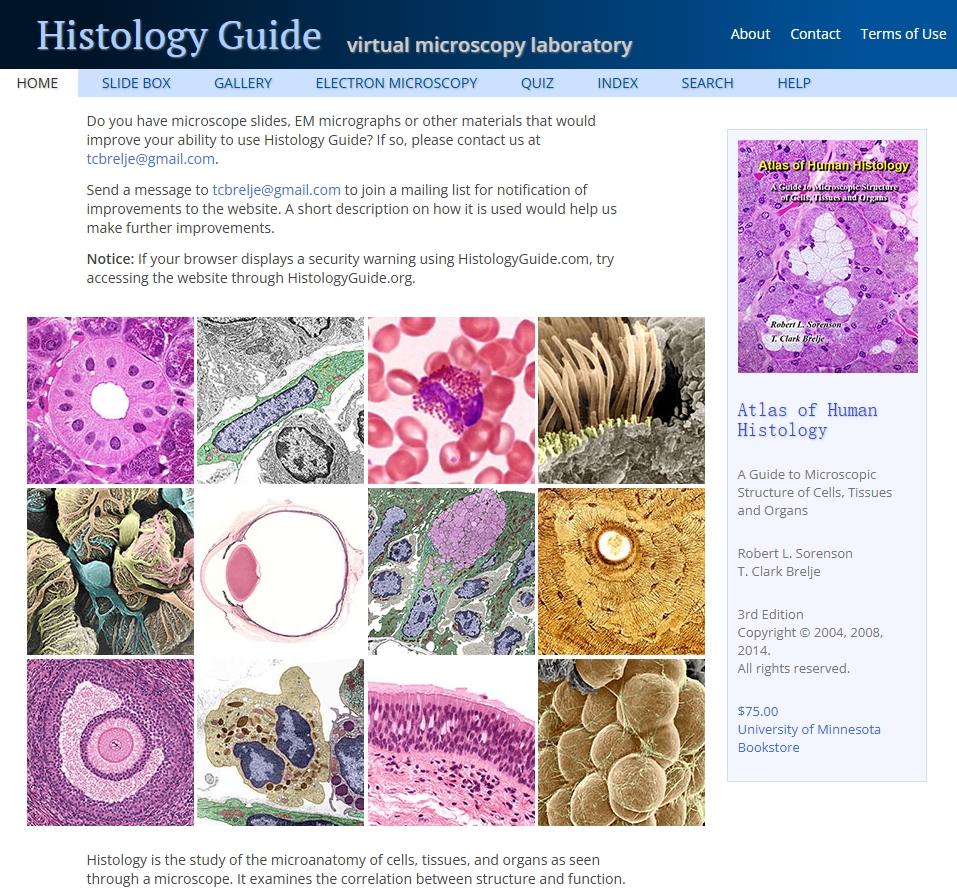Histology 