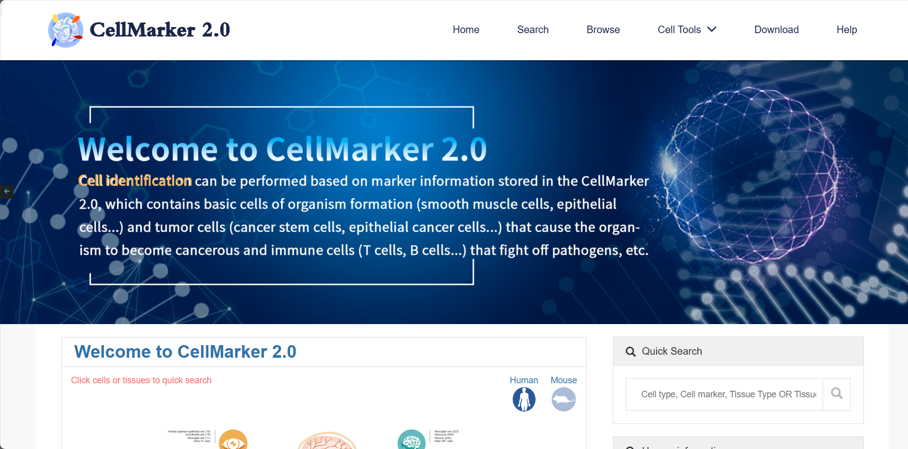 CellMarker 2.0