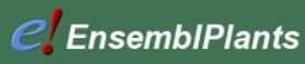 Ensembl植物数据库