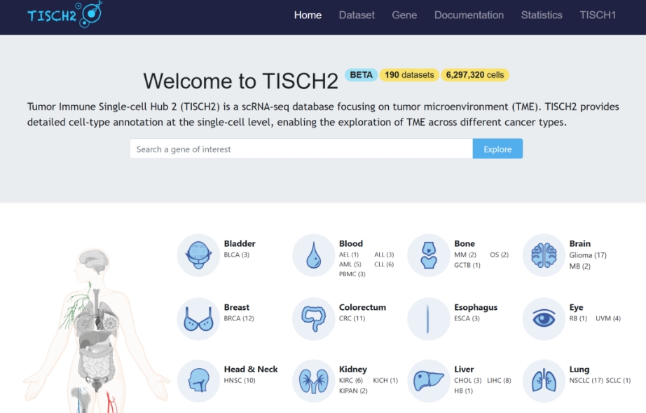 TISCH2