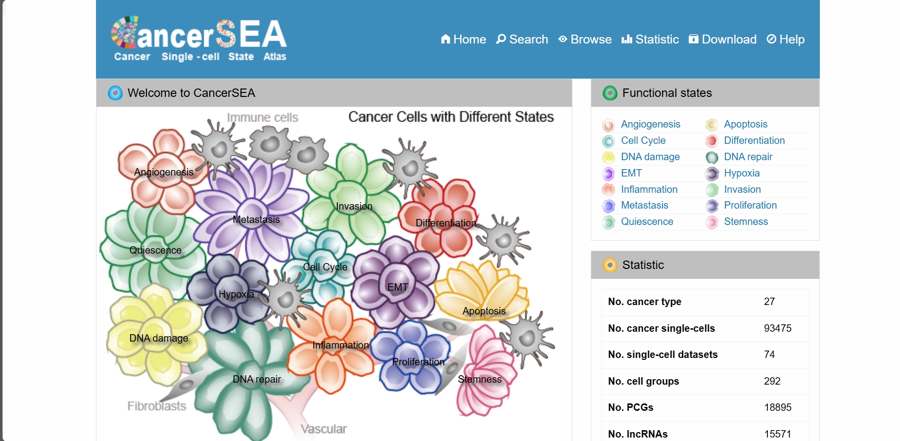 CancerSEA