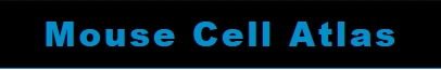 Mouse Cell Atlas